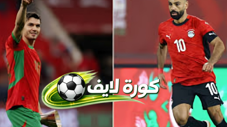 نصف نهائي أفريقيا في كأس أمم أفريقيا